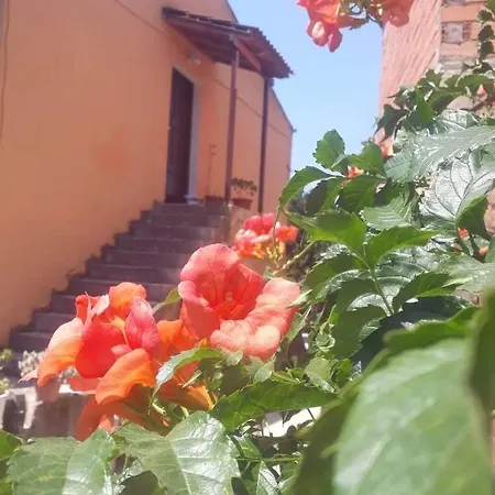 Casa Nova 別荘 *